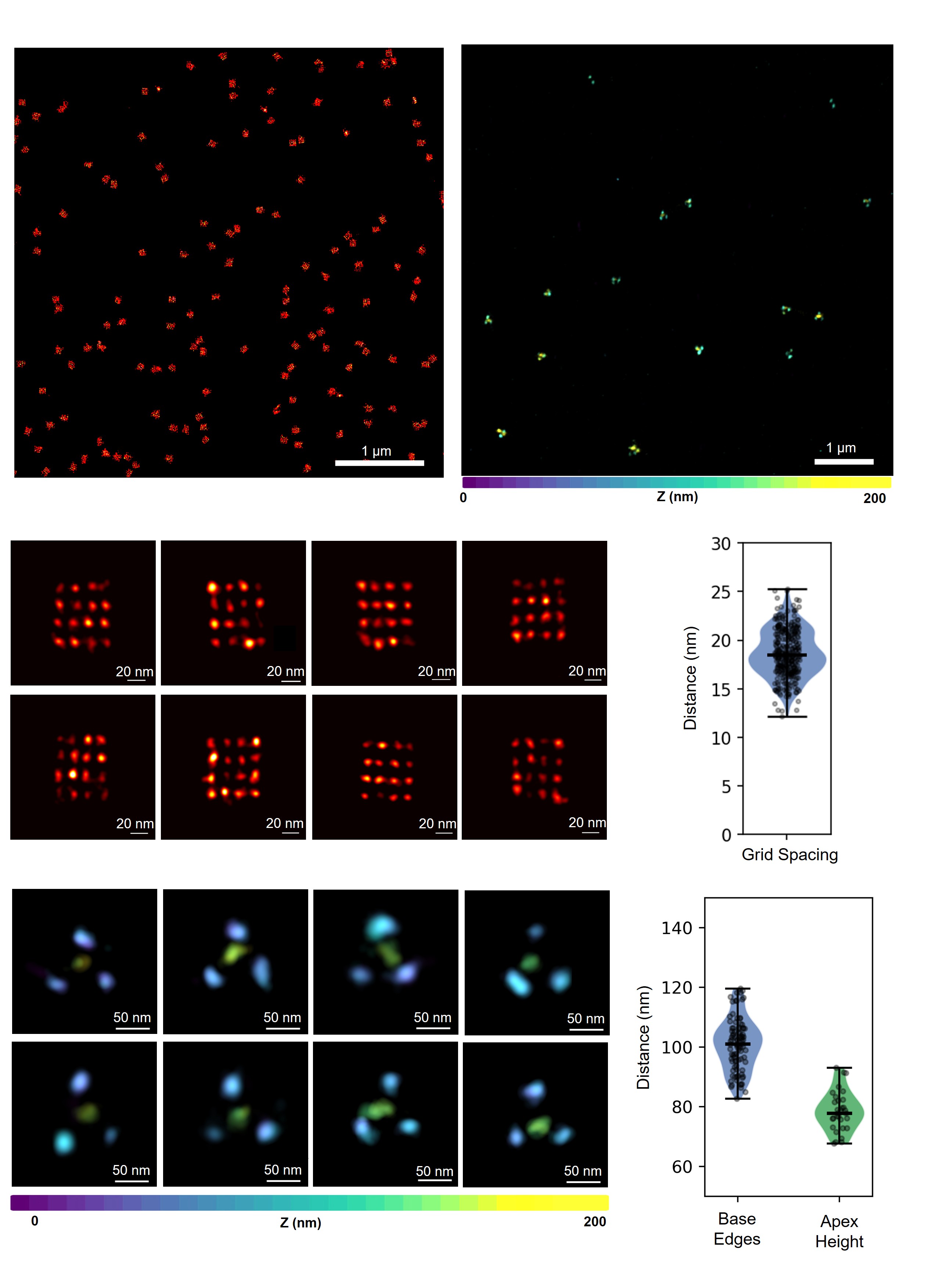 DNA origami grids and tetrahedrons